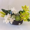 This lush green arrangement featuring calla lilies, orchids , succulents and Anthurium