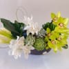 This lush green arrangement featuring calla lilies, orchids , succulents and Anthurium