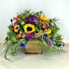 HELLO Sunshine!!!  Our designers will carefully curate bright &amp; colorful seasonal