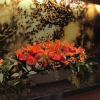 A fresh flower arrangement for autumn is created with luxury premium flowers