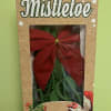 Hanging mistletoe is a sign of good will and to steal a