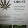 sativa strains have an uplifting effect &amp; offer a cerebral high that