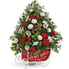 Wow them this Christmas with a fresh, fabulous tree arranged in a