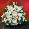 Evoke the pure heart and spirit of a loved one through consolation