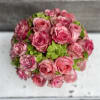 Pink with a hint of green in a contemporary dashing white container