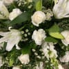 Serene Blessings - White