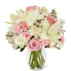 THIS IS FOR THE STANDARD, DELUXE OR PREMIUM.

Classically elegant in a way