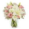 THIS IS FOR THE STANDARD, DELUXE OR PREMIUM.

Classically elegant in a way