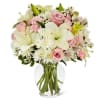THIS IS FOR THE STANDARD, DELUXE OR PREMIUM.

Classically elegant in a way