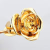 &bull; Natural Preserved Single Stem Dipped in 24KT Gold 
Real it varies