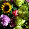 Mixed seasonal bouquets. Consisting of the freshest, in season flower selection. in