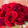A dozen short stemmed roses in a clear vase.  Deluxe and