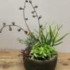 A grey stone pot filled with an abundance of assorted succulents and