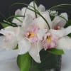 Desktop arrangement filled of beautiful white Cymbidium orchids 