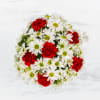 A modest gift that will make a lasting impression. Daisy Crazy by