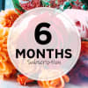 All subscriptions include a delivery fee and are paid ahead of time