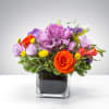 This arrangement is seeking a comfortable home. It is willing to impress
