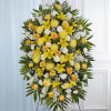 Yellow flowers 