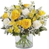 Yellow and white flowers 