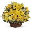 Yellow flowers 