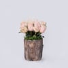 Peach garden roses 
Wood stump container  