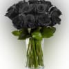 12 - Tinted red roses Dyed to Black Roses Arranged in a