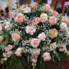 Roses, Carns, Stock, Baby&#039;s breath, fillers and greens
125.00-175.00
