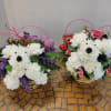 Dazzle your Valentine with this cute Puppy Love arrangement! Perfect for your