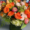 Amber, honey, salmon, carrot, salamander.... So many shades of orange come together