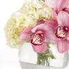 This lovely combination of Cymbidium Orchid, white Hydrangea, Dusty Miller presented in
