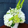 Includes Hydrangeas, White and green assorted floral (Florals and container might vary