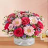 Roses,gerbera  ,carnations 