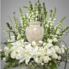 Elegant and soft, this all white urn tribute will include lilies, roses