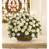 A beautiful bountiful basket of luminous white roses that feels so fresh