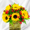 Beautiful Arrangement with Sunflowers 
the container my change but the same value
