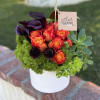 Roses and other flowers are arranged together in a white ceramic vase