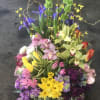 orchids, daffodils, tulips, iris, hyacinth, calla lily, bells &amp; more