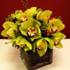Simple long lasting Cymbidium orchids.