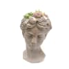 A selection of succulents planted in a Goddess Head ceramic pot (12&quot;