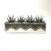 4 zebras with pebbles and sand designed in 16x4x3.75&quot; glass container.