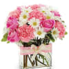 Pink Roses 