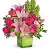 Lime-a-licious! Fresh shades of green are a great way to contrast pink