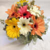 A beautiful and cheerful mix of gerbera daisies in a rustic mason