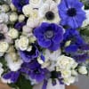 Box with anemones 