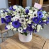 Box with anemones 