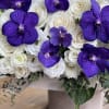 Amazing box with gorgeous purple orchids