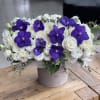 Amazing box with gorgeous purple orchids