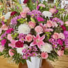 DISCLAIMER

For green and blooming plants, similar plants may be substituted of equal
