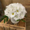 An adorable white daisy arrangement designed in a beautiful white ceramic container.