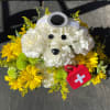 Healing hearts and spirits wherever he goes, Dr. Love Puppy, M.D. is